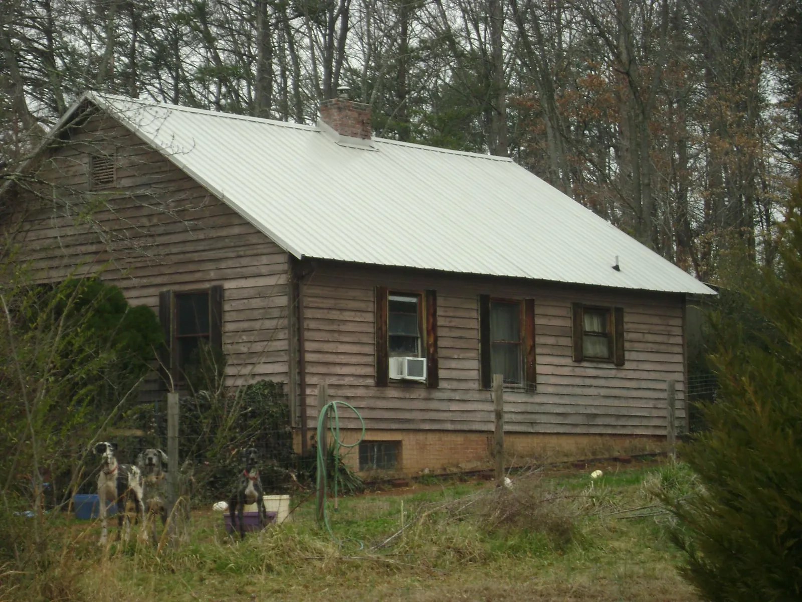 White metal roof on an old wood sided farmhouse, from a Asphalt Shingle Roof Repair job in Danielsville